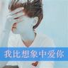 龙的传人